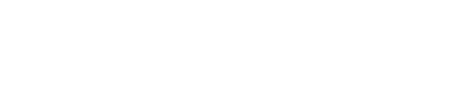 Rossignol Group
