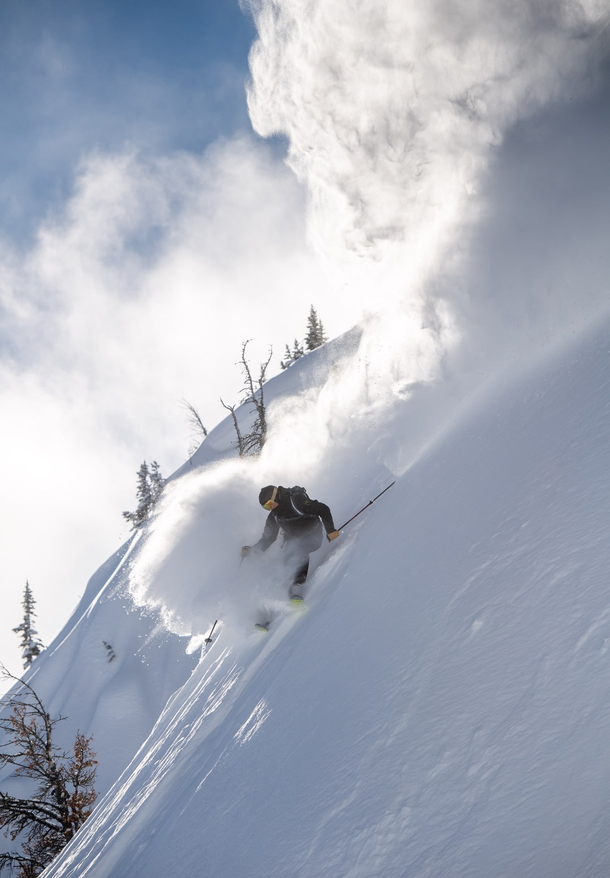 skier in powder