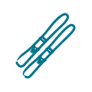 skis logo