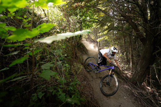 A person mountain biking in the forest on a downhill trail, riding a purple Rossignol bike.