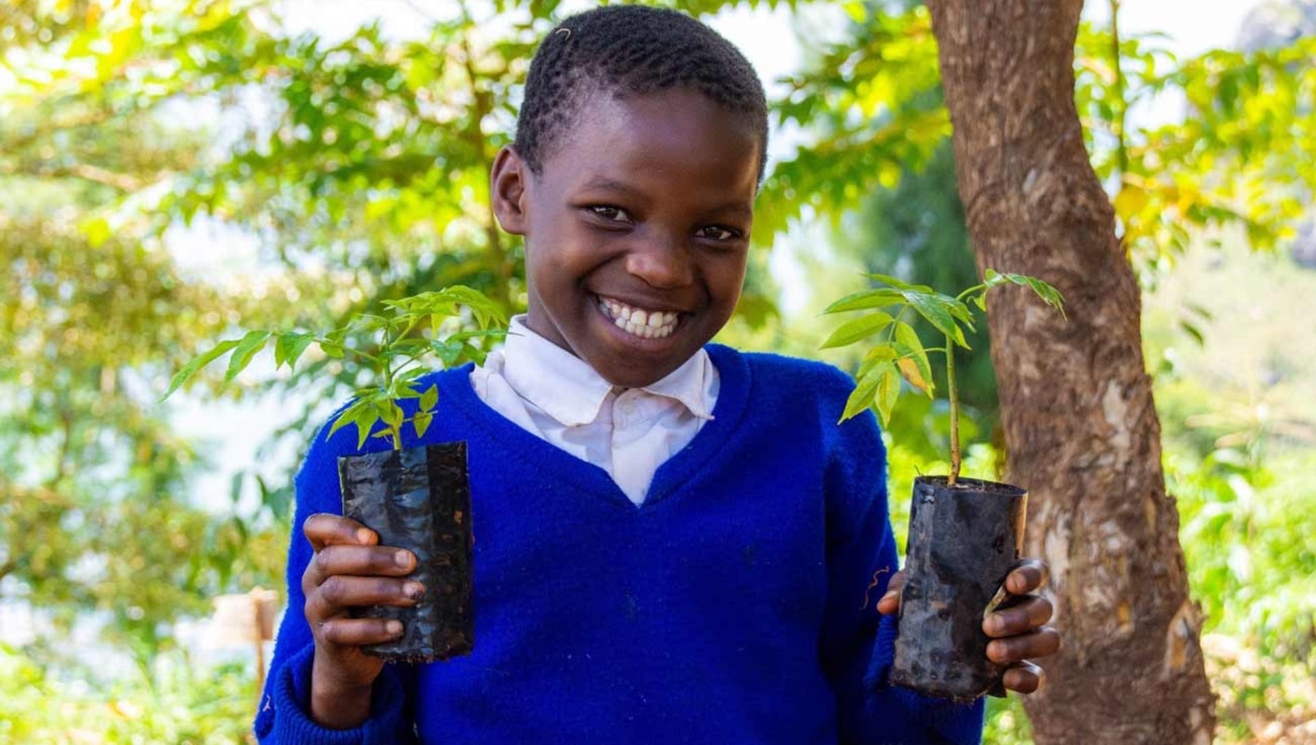 Enfant avec une pousse de plante dans les mains