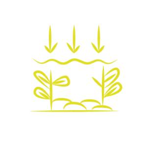 pictogramme de l'acidification du sol